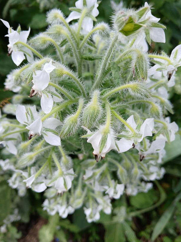 No s'ha trobat l'arxiu